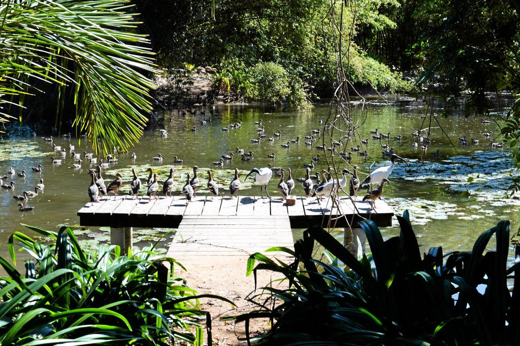 Rivendel Garden Tours